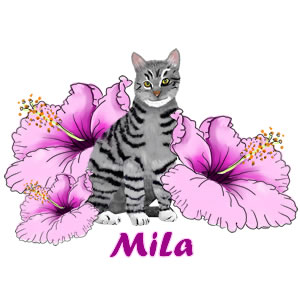 Mila Merchandise | Agador and Mila's Jungle Adventure | Children's Picture Book | Amazon & Amazon Kindle